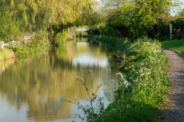 istock English countryside canal 2163571991