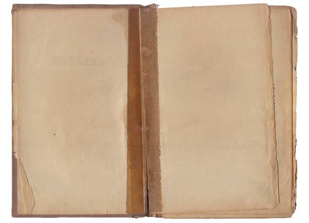 istock Vintage empty background of old book paper texture isolated 2163572903