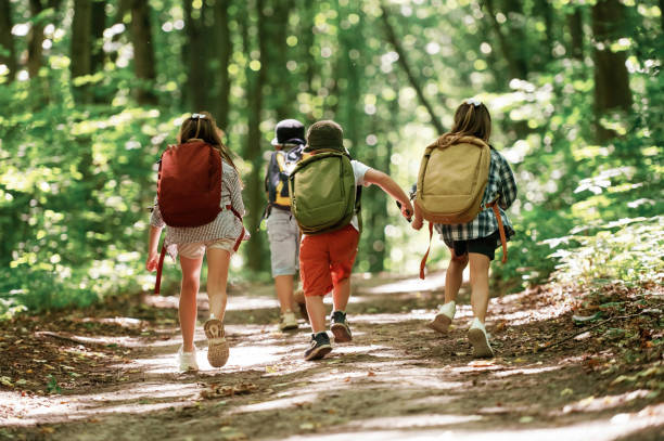 istock View from the back. Kids in forest at summer daytime together 2163576431