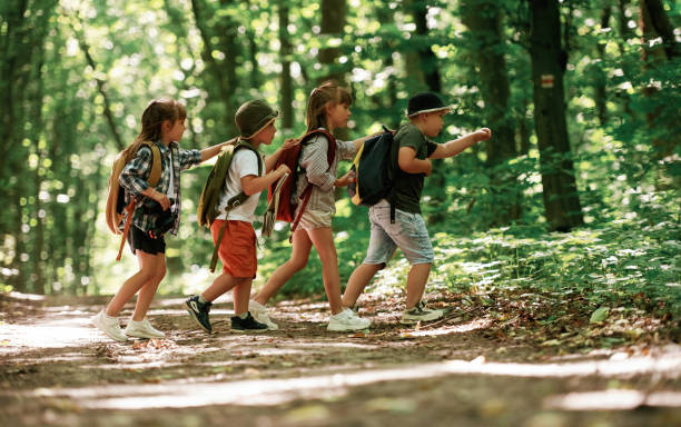 istock Going to the side. Kids in forest at summer daytime together 2163576547