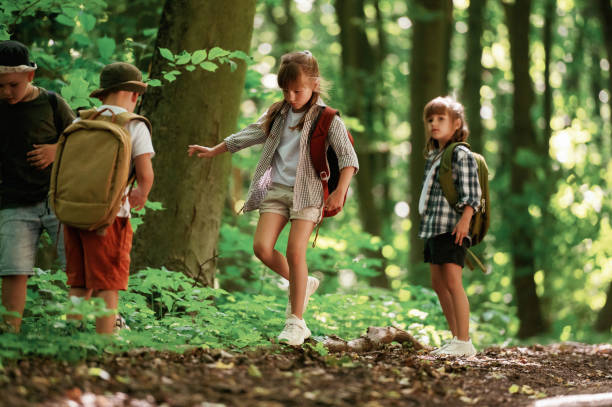 istock Going on the pathway. Kids in forest at summer daytime together 2163576601