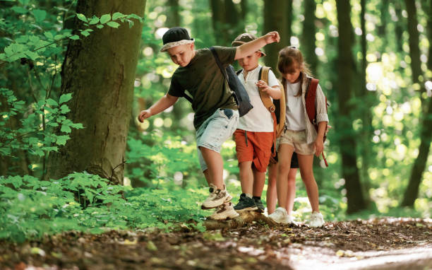 istock Going on the pathway. Kids in forest at summer daytime together 2163576615