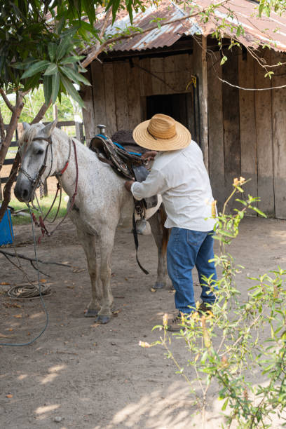 Farmer wearing a hat saddling a white horse near a rustic wooden building.