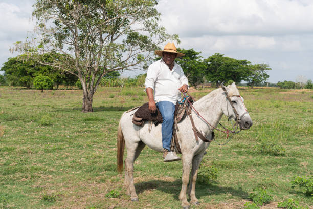 Farmer wearing a hat riding a white horse in a green field.