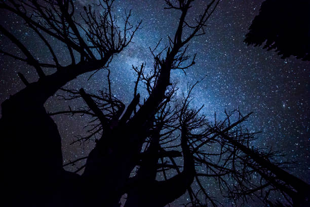 istock MIlky way in Malniu lake, Pyrenees, Spain 2163577796