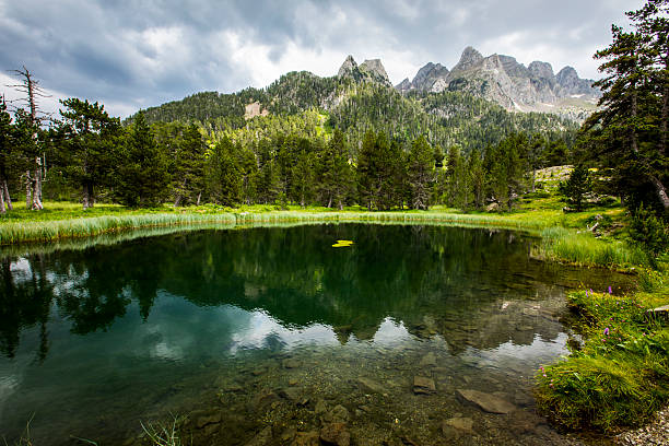 Summer landscape in Posets Maladeta Nature Park, Spain.