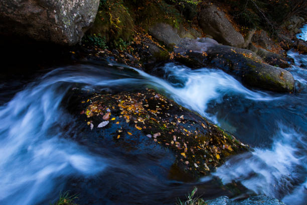 Autumn scene in Camprodon, Ripolles, Pyrenees, Spain.