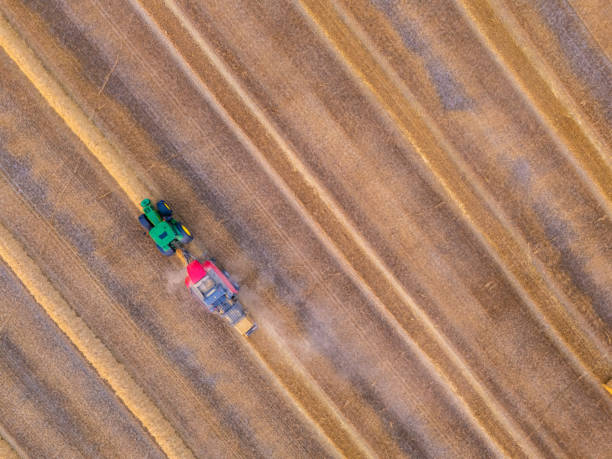 istock Drone view of Harvesting wheat harvester 2163580108