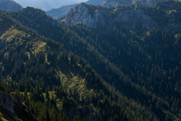 Beautiful Mountain Landscape with Green Woods.