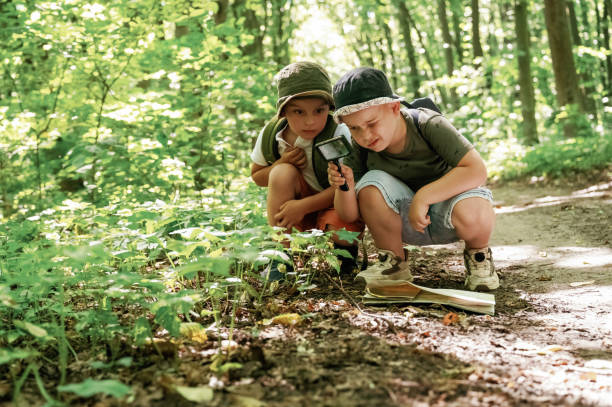 istock Kids in forest at summer daytime together 2163581657