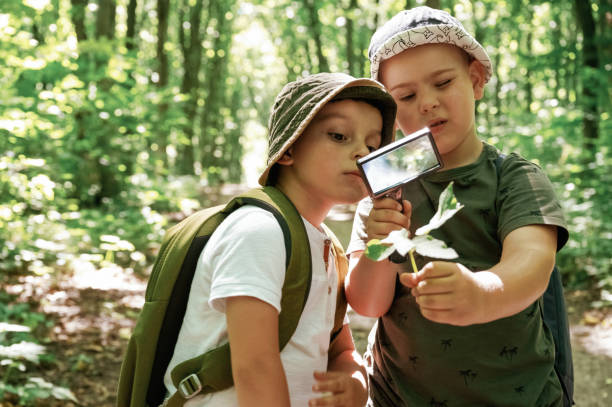 istock Exploring plants through magnifying glass. Kids in forest at summer daytime together 2163581676