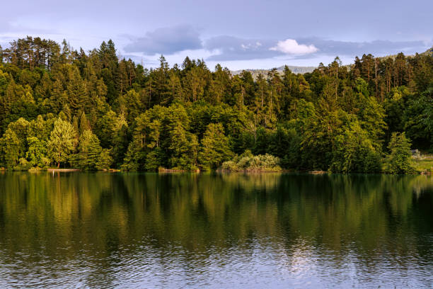 istock Lake Bled, Slovenia 2163584397