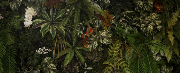 istock abstract green leaf texture, tropical leaf foliage nature dark green background 2163584629