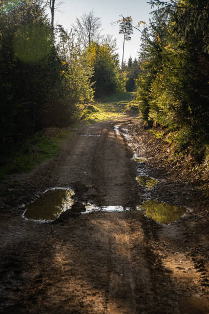istock A Muddy Forest Road After Rain With Puddles and Sunlight. Borzhava range. Carpathian mountains, Ukraine 2163584767