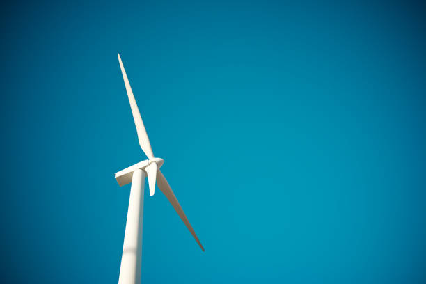 Wind turbine generator for renewable electrical energy production