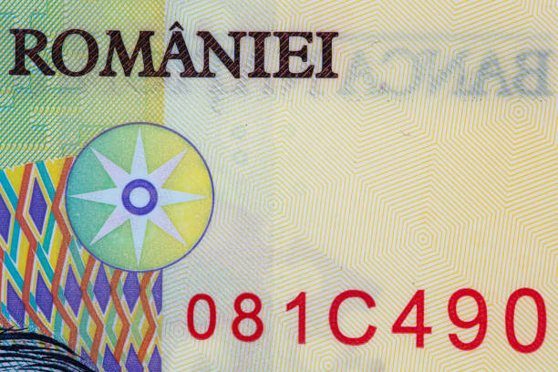 Close up of 100 Egyptian Pound banknote.