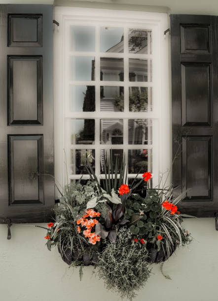 istock Charleston Flower box 2163586922