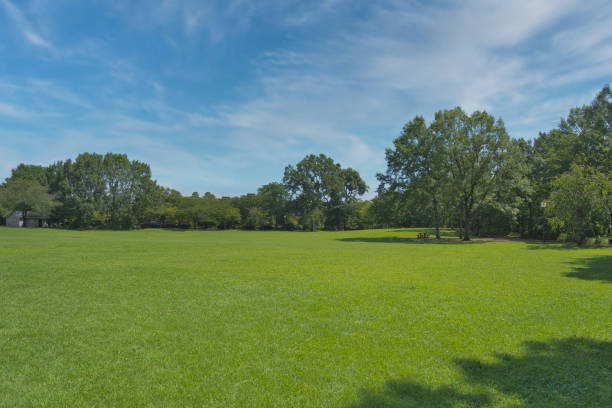 istock A park full of greenery in summer 2163588132