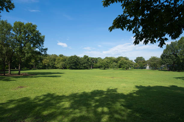istock A park full of greenery in summer 2163588257