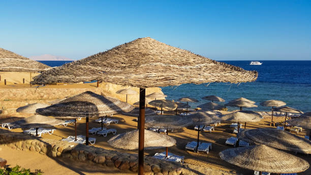 istock deck chairs and umbrellas on the sea beach in summer 2163589216