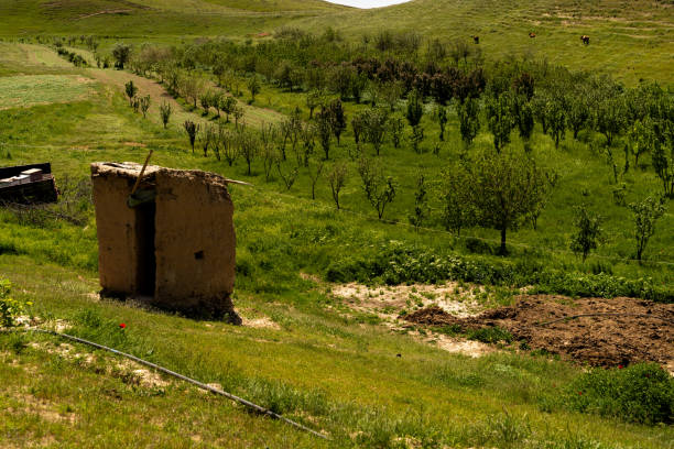 A small hut is in the middle of a field of grass. The hut is made of dirt and straw