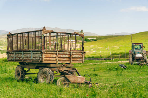 An old truck is parked in a field with a large cage on the back. The cage is open and empty. The truck is surrounded by grass and there are a few sheep in the background