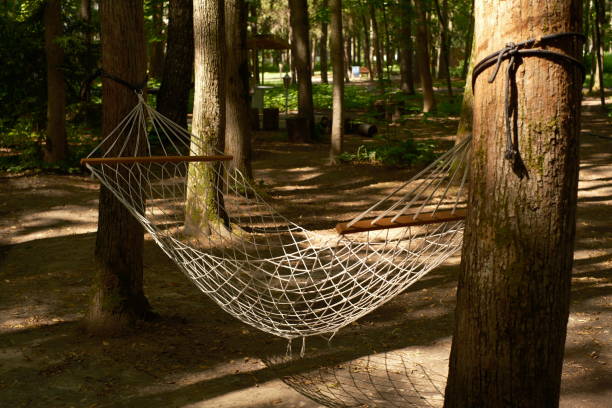 istock cinematic, summer hammock in park, sun. background forest trees, sunset 2163590969