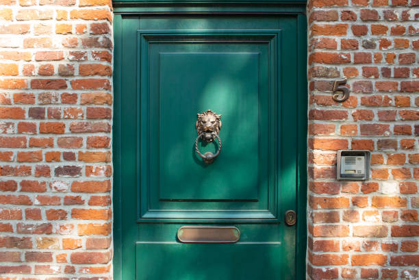 metal lion head on door for knocking