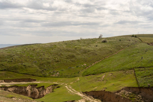 istock village in Uzbekistan 2163597848