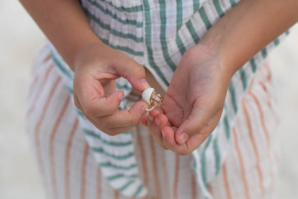 istock girl holds in her hands a shell with a small crab 2163602845