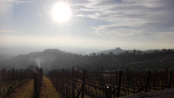istock Vineyard and mountain peaks on sunny winter day 2163604595