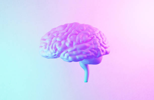 istock Pink Brain Object Illuminated By Pink And Blue Lights 2163604735