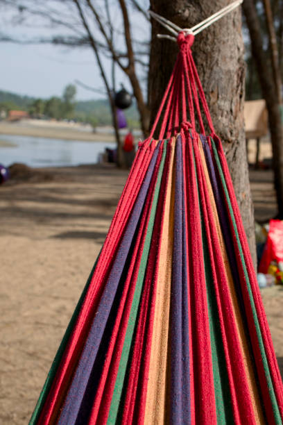 The essence of relaxation with a close-up view of a vibrant, multicolored hammock tied to a tree trunk in Marang, Terengganu. The hammock features bold stripes in shades of red, yellow, green, and blue. It is secured by white ropes that are knotted around the sturdy brown tree trunk.