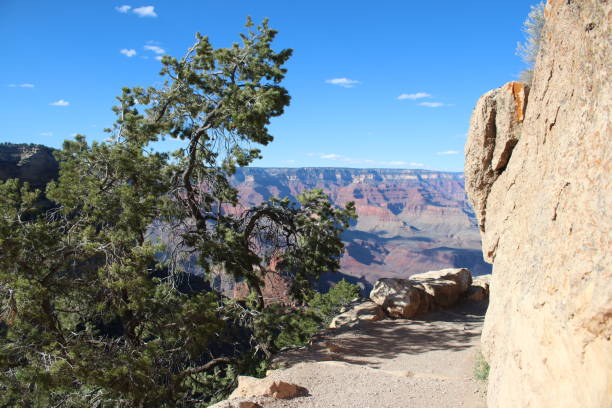 istock Grand Canyon - View Bright Angel Trailhead 2163611631