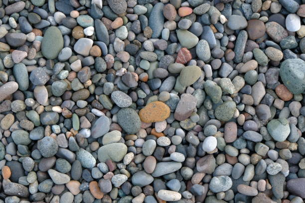 istock stones background. natural background stones on the beach. multi-colored pebbles with rounded stones as a background 2163613623