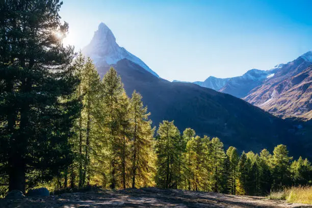Scenic View of Matterhorn in Switzerland with Sunlit Forest Scenic View of Matterhorn in Switzerland with Sunlit Forest