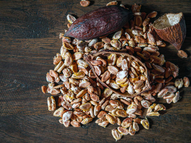 istock Cocoa beans and dried cocoaseed 2163616071