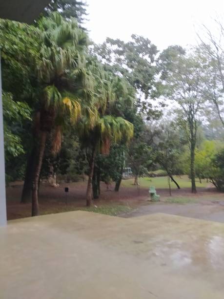 istock Aclimacao park during a storm in summer 2163616672