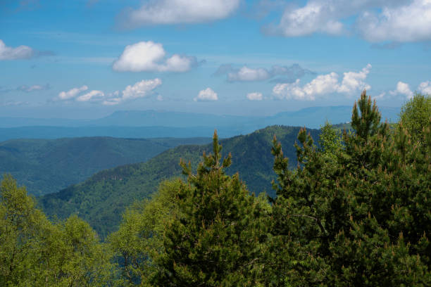 istock Mountainous landscape with forest in foreground. 2163619924