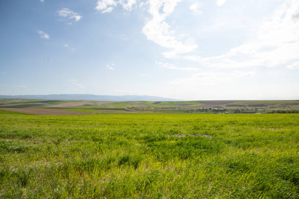 istock village in Uzbekistan 2163622139