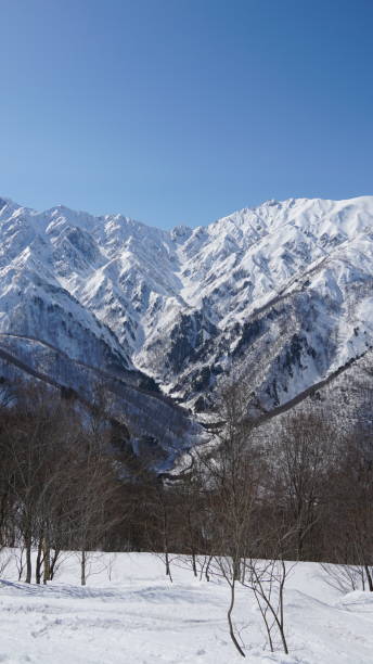 istock Hakuba Goryu Snow Resort 2163625458