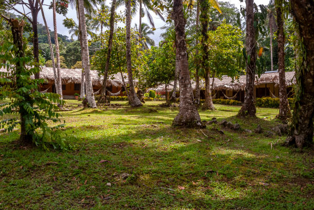 istock Gorgona Island_Pacific Ocean_Colombia 2163626658