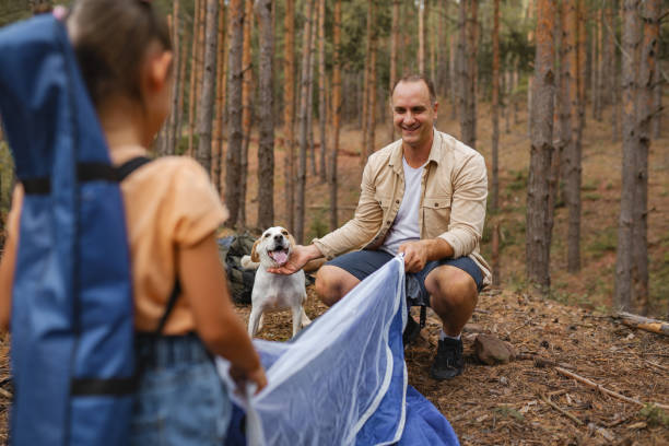 istock Father and daughter setting up a tent for camping 2163627095