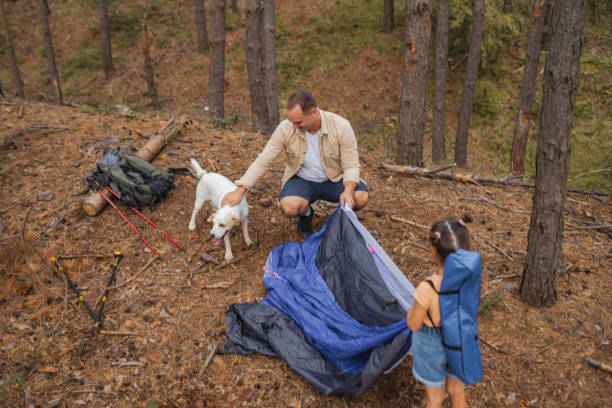 istock Father and daughter setting up a tent for camping 2163627274