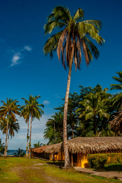 istock Gorgona Island_Pacific Ocean_Colombia 2163627319
