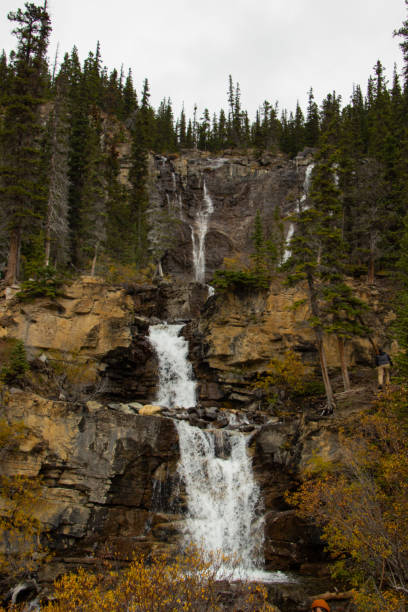 istock Tangle Creek Falls in Jasper National Park, Canada 2163628766