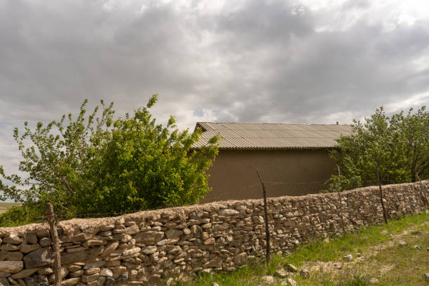 A New England stone wall surrounds a spring pasture with a thatched roof barn in the background.