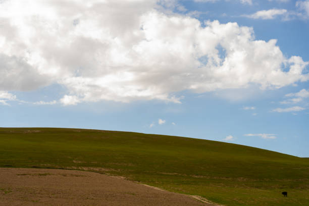 istock village in Uzbekistan 2163632165