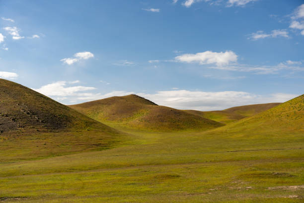 A vast, open field with a clear blue sky. The grass is lush and green, and the hills in the distance add to the sense of openness and tranquility