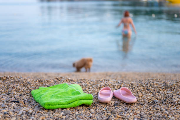 Close up of a green towel and pink flip-flops left on the beach, while unrecognizable woman and a small brow puppy going in the sea.